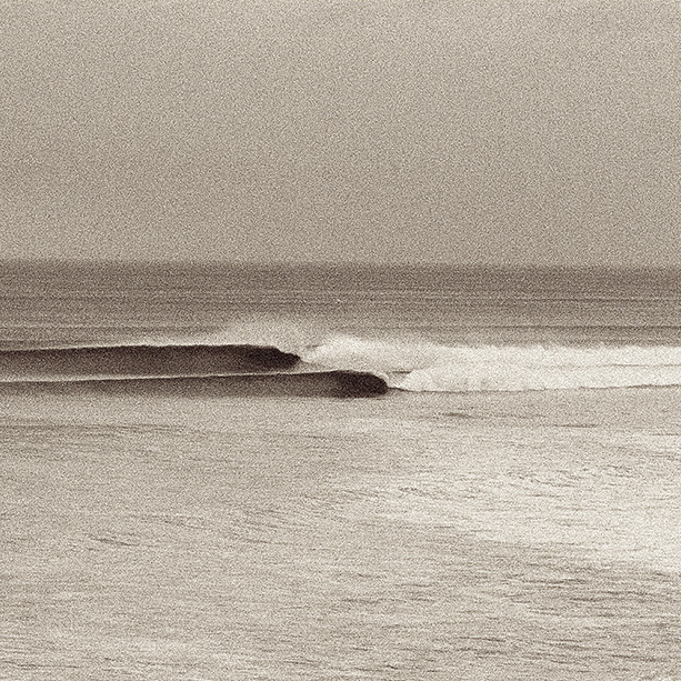 B CORP CRITIFICATION